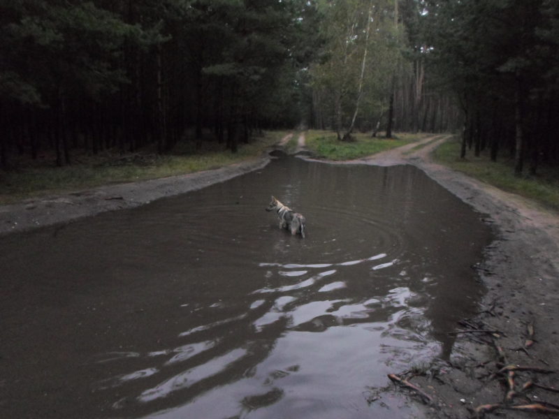 Čím větší kaluž, tím lepší, 13.9.2014