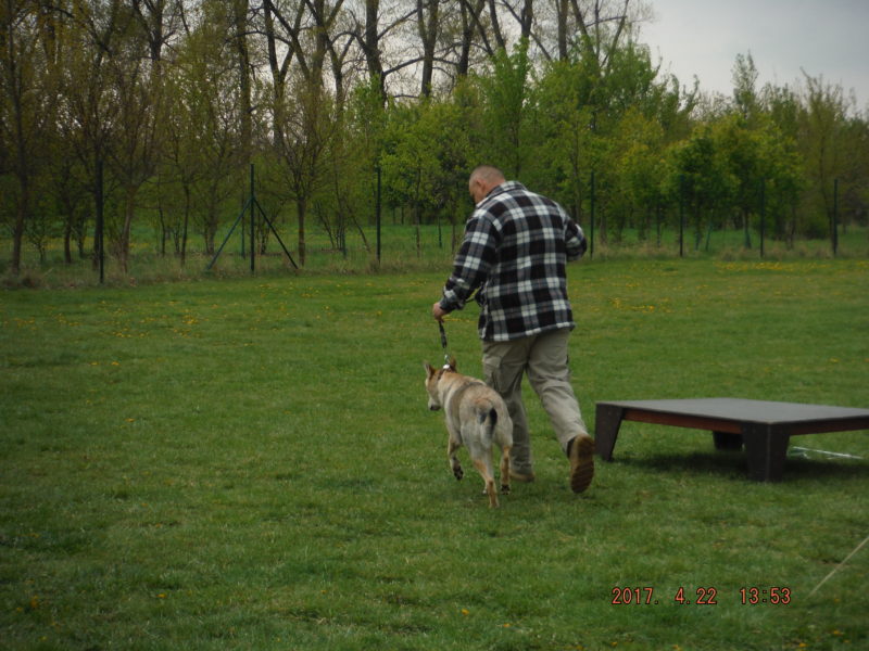 ...a ještě tam..., 22.4.2017
