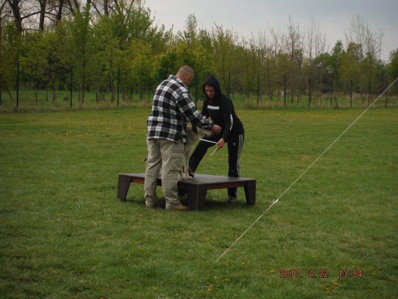 ...to taky zvládneme, 22.4.2017 ...to taky zvládneme, 22.4.2017