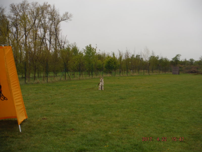 A nakonec střílení, 22.4.2017