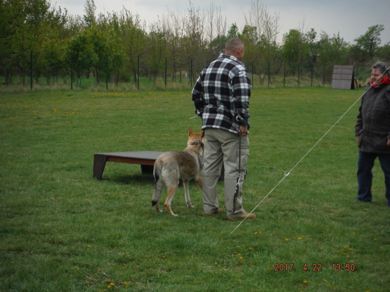...ale jinak se líbíme, 22.4.2017 ...ale jinak se líbíme, 22.4.2017