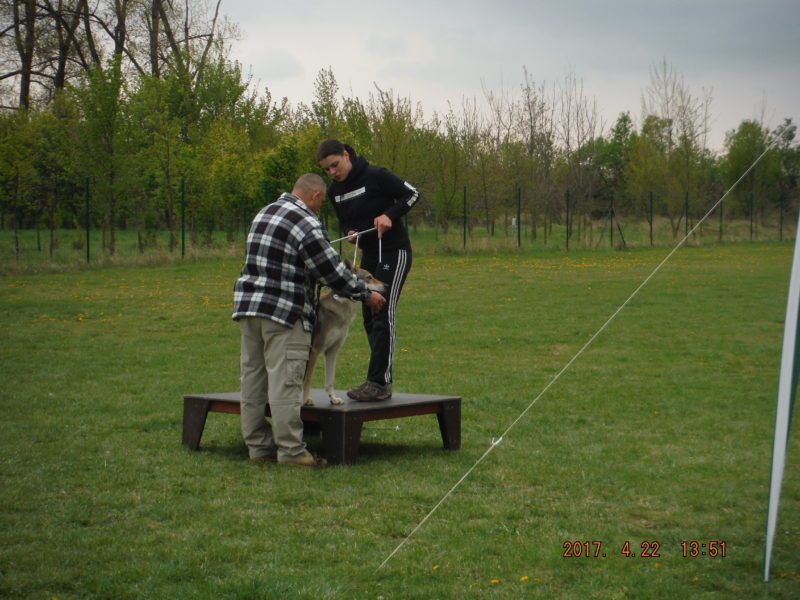 ...takže stojíme hezky, 22.4.2017 ...takže stojíme hezky, 22.4.2017