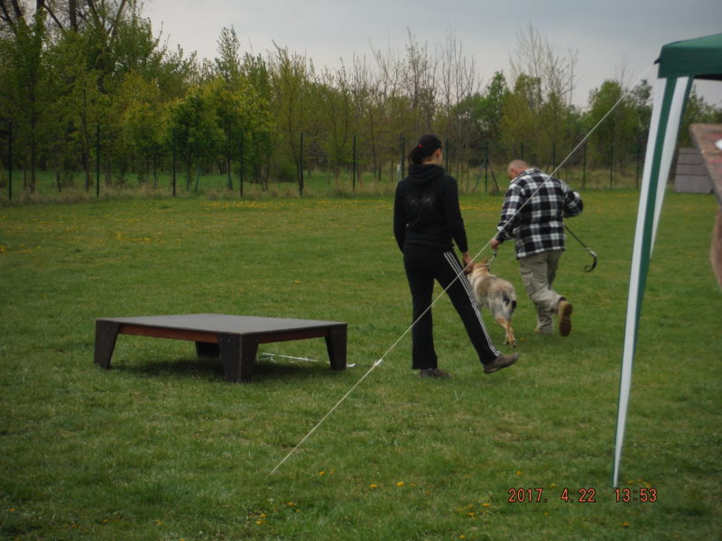 A teď do pohybu..., 22.4.2017