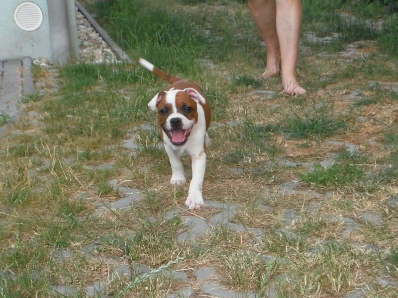 Jsme doma - a stačilo nám asi 20 sekund se tady zabydlet, 22.6.2017 Jsme doma - a stačilo nám asi 20 sekund se tady zabydlet, 22.6.2017