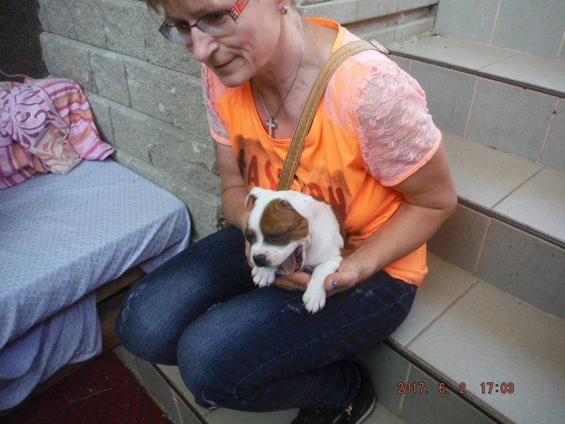 ...krásnou Capucino Baby Old City Bull..., 2.6.2017