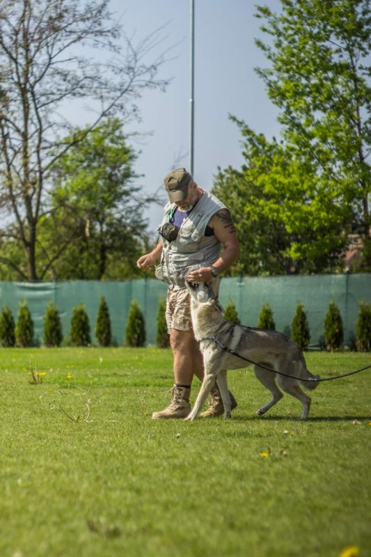 A ještě u nohy, 14.5.2017