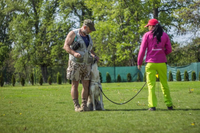 A totéž u nohy, 14.5.2017