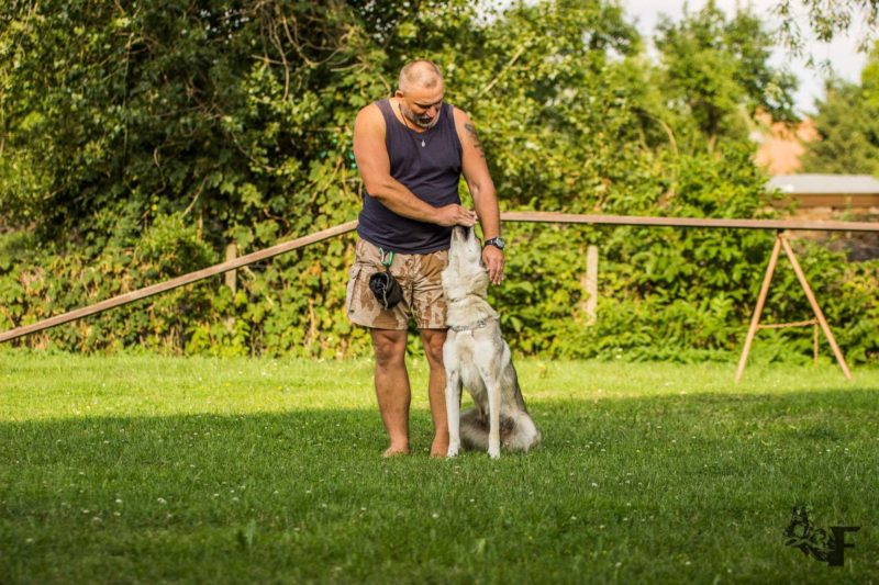 Polohy na místě..., 19.7.2017