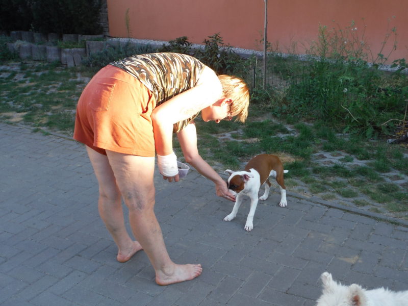 ...taky 'stůj' už umím..., 5.8.2017