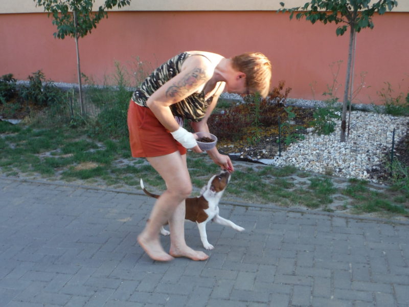 ...a už kráčíme..., 5.8.2017