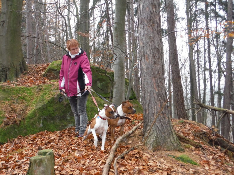 Milujeme Chřiby..., 17.11.2017 Milujeme Chřiby..., 17.11.2017