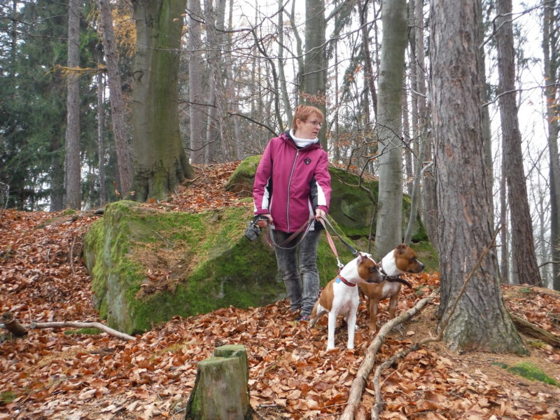 ...copak tam ta děvčata asi vidí?..., 17.11.2017 ...copak tam ta děvčata asi vidí?..., 17.11.2017