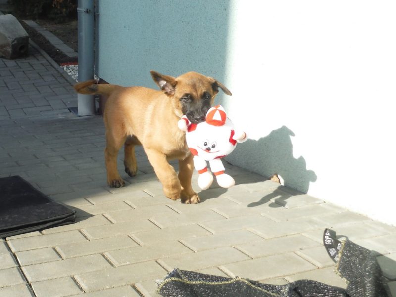 Se mně nesměj..., 16.2.2019