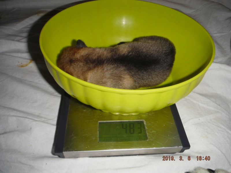 Takhle jsme se denně vážili, 6.3.2019