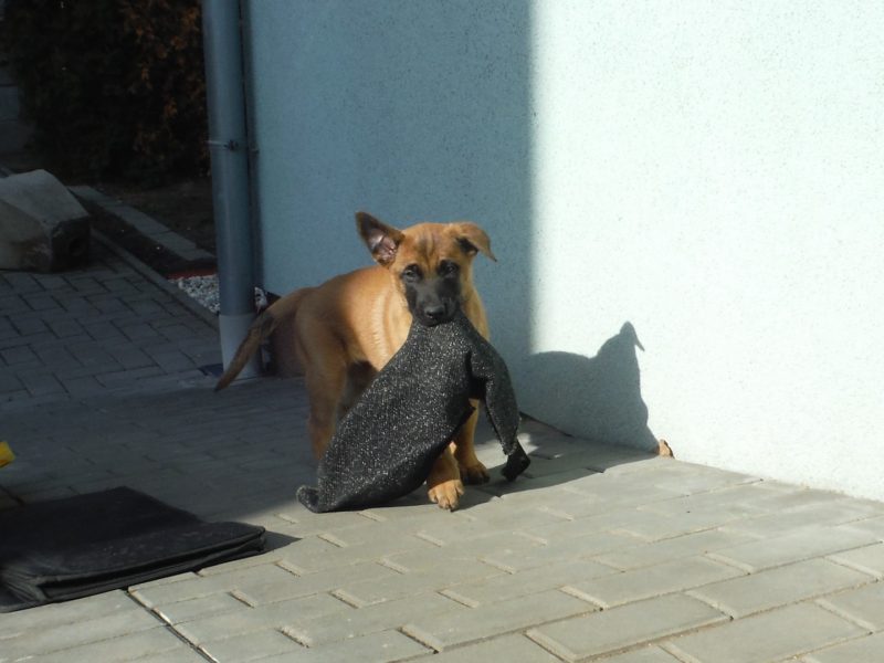 ...se mně to ucho spraví, uvidíš, 16.2.2019