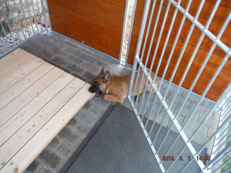 ...tak hned začneme s demolicí..., 7.3.2019