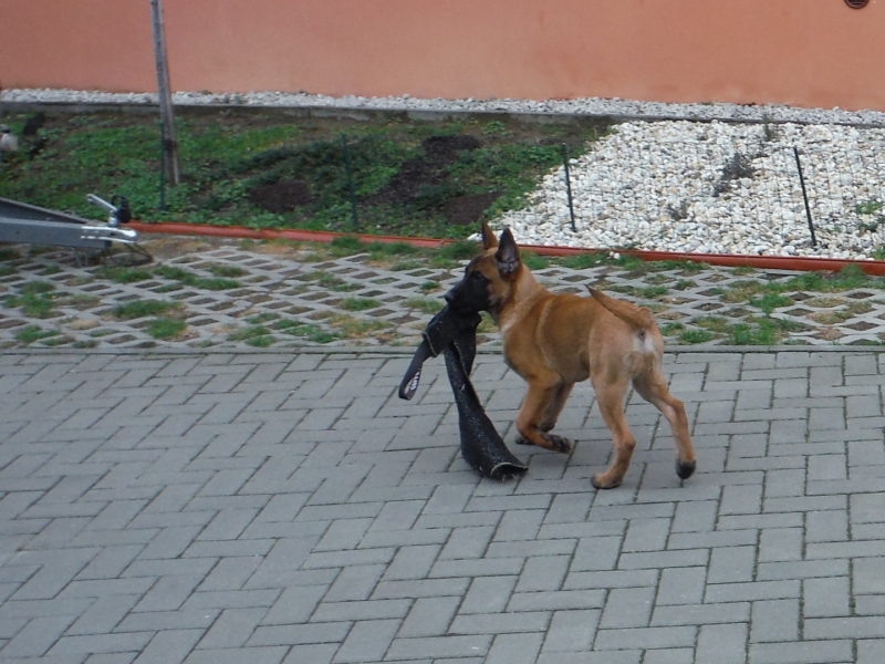 ...vyhrál, 16.3.2019