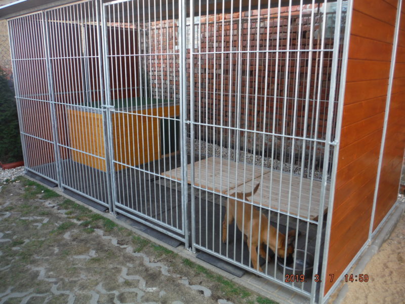 A velice rychle jsme tu byli doma, 7.3.2019