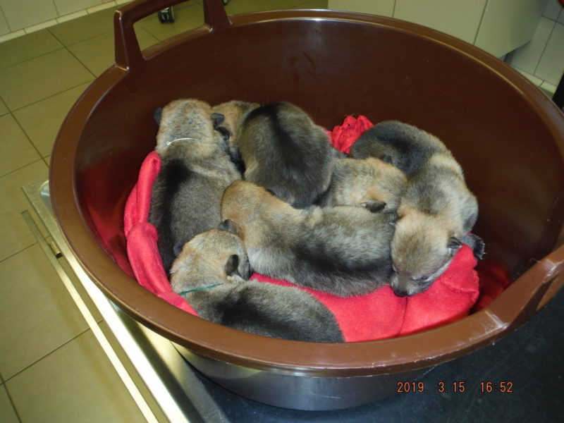 Troška spánku na klinice, 15.3.2019
