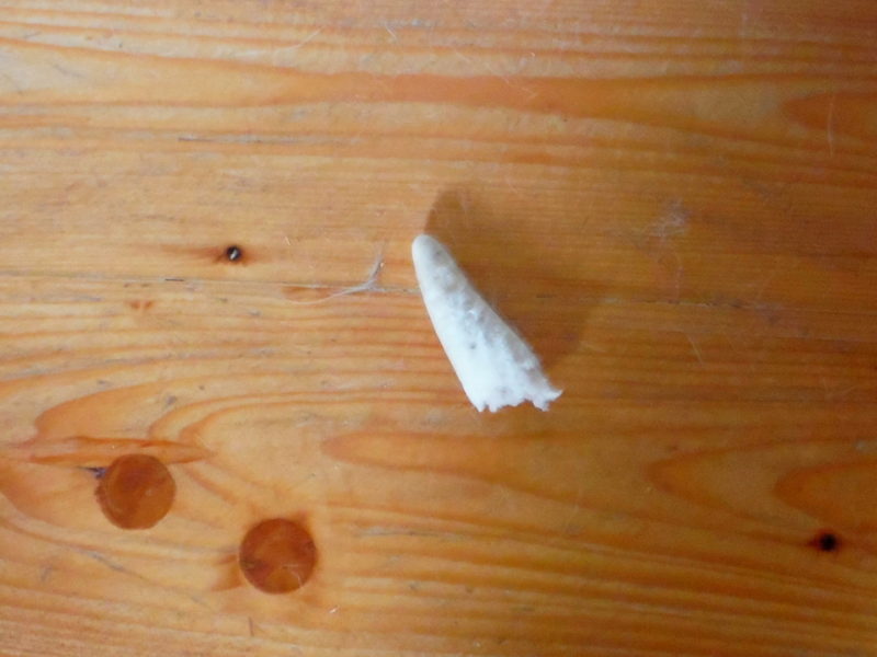 Hotovo, pošlete dalšího jelena, 28.6.2020